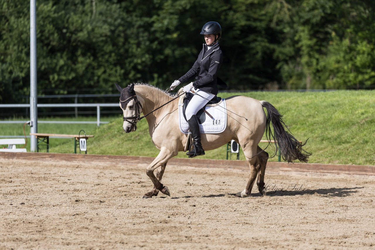 Bild 492 - Pony Akademie Turnier